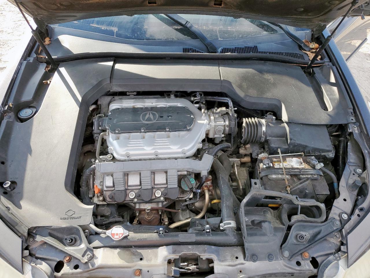 2010 Acura Tl VIN: 19UUA8F25AA017833 Lot: 93141645