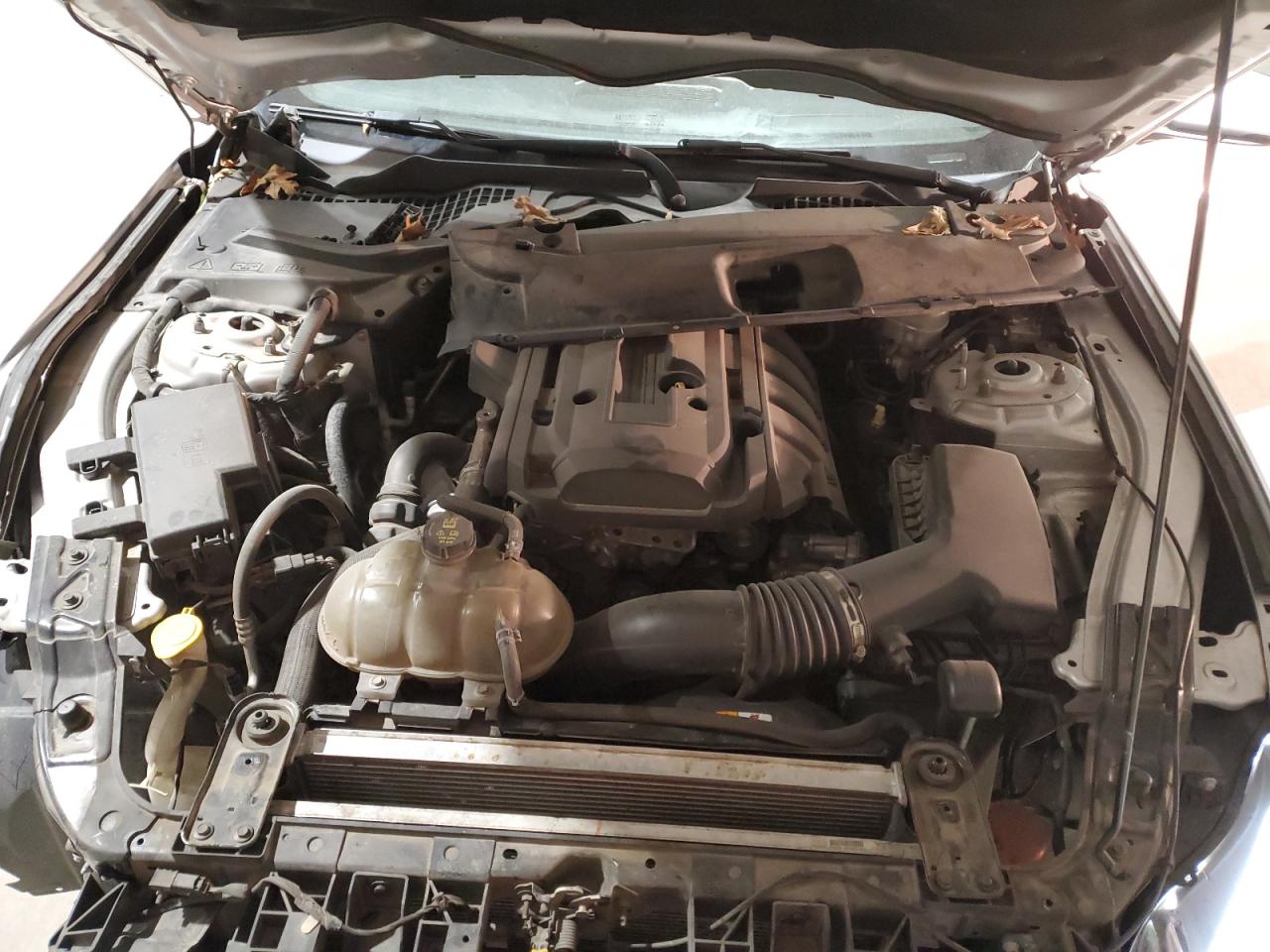 2017 Ford Mustang VIN: 1FA6P8TH8H5310651 Lot: 92394785