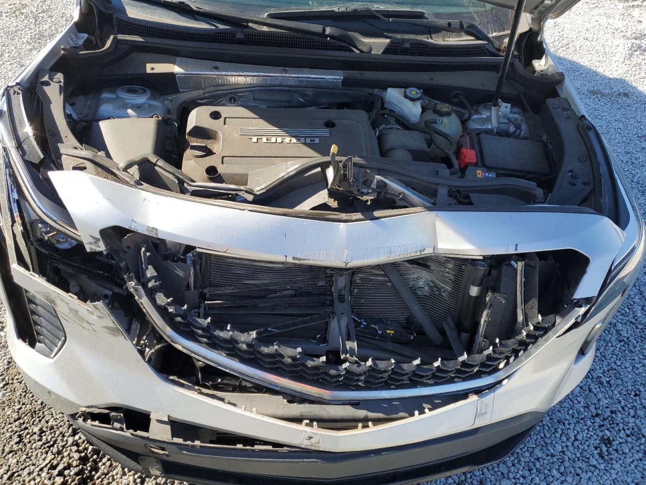 2019 Cadillac Xt4 Sport VIN: 1GYFZER48KF219429 Lot: 92568125