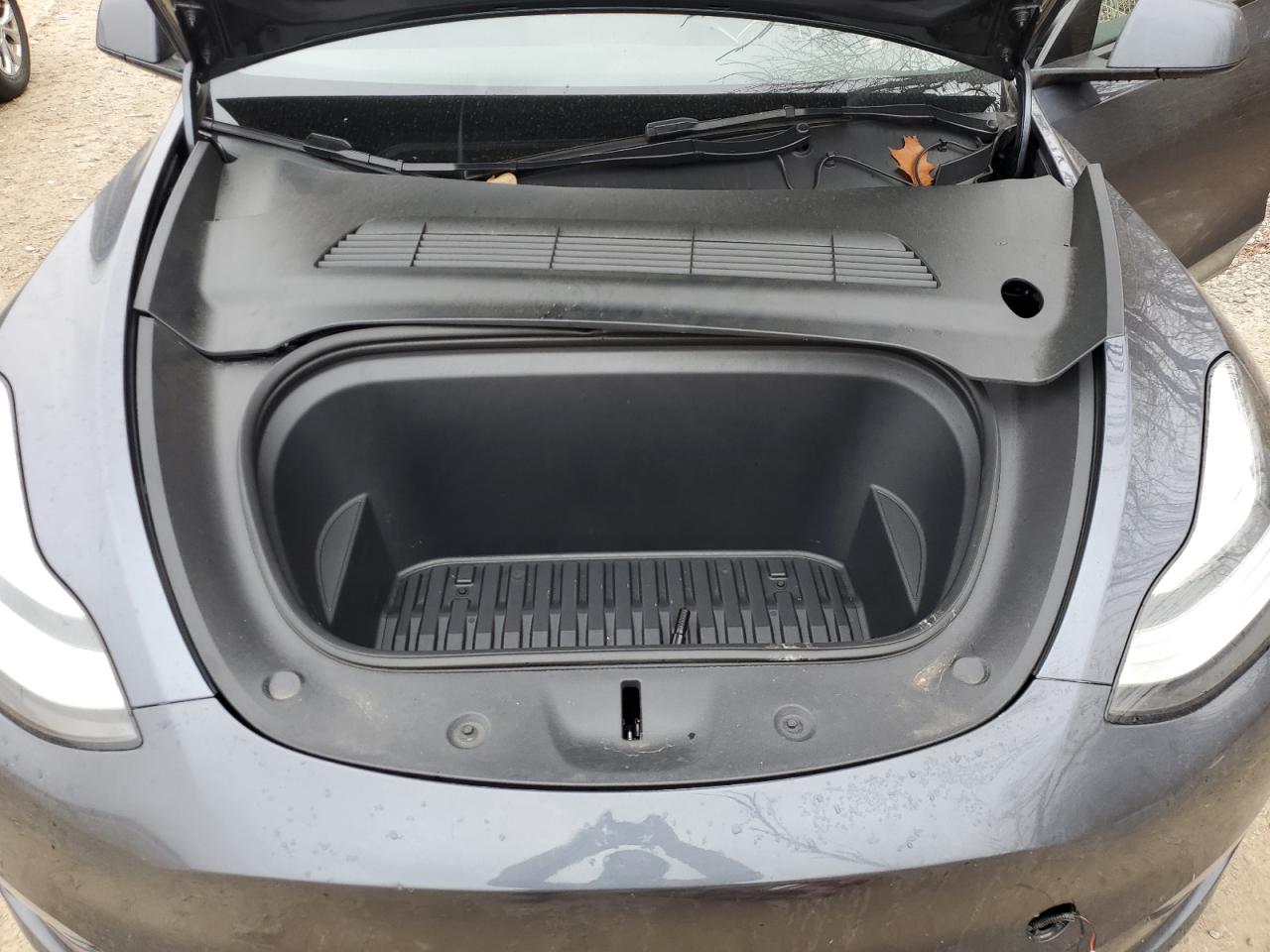 2023 Tesla Model Y VIN: 7SAYGDEE1PA081757 Lot: 93755495