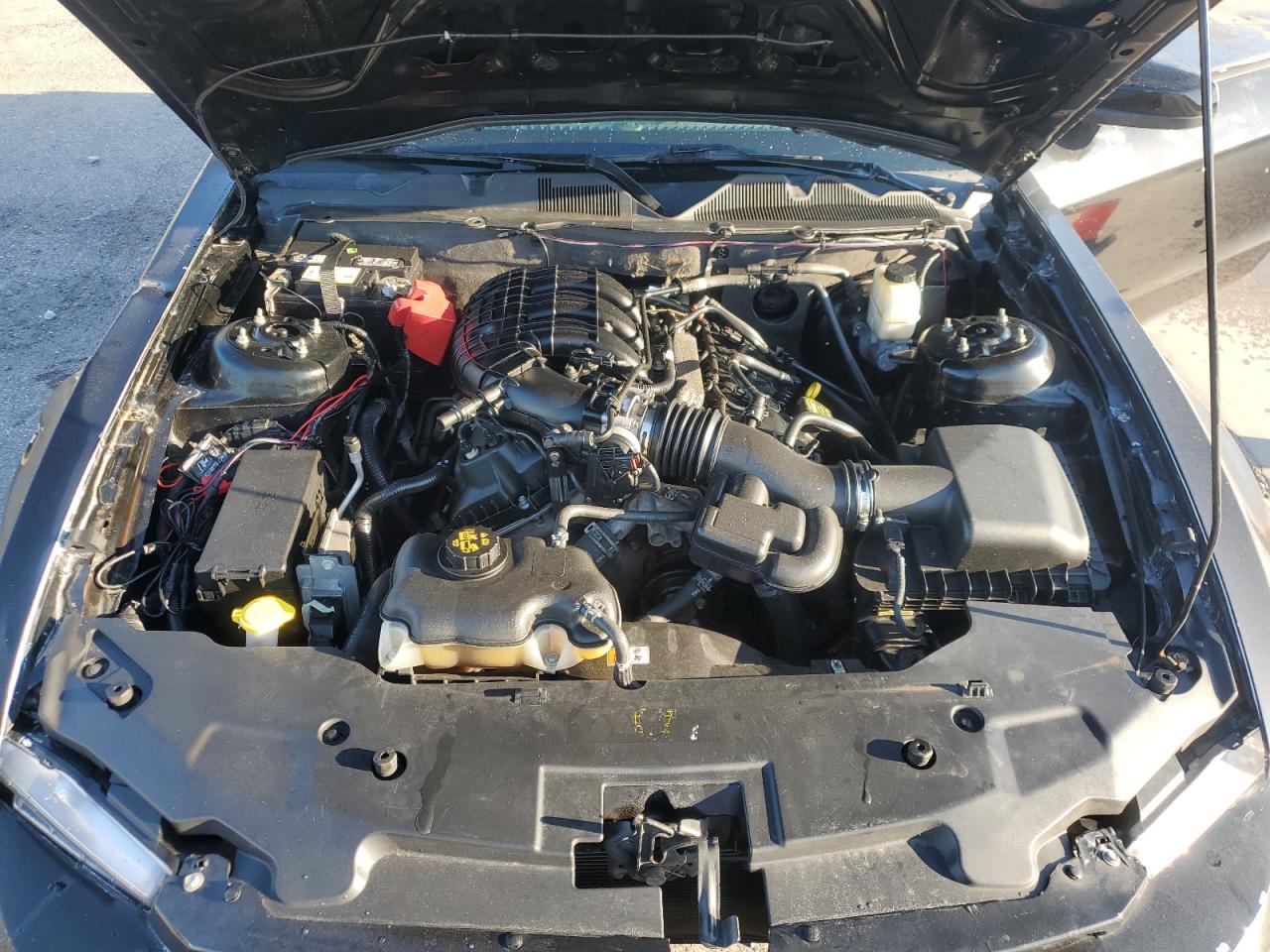 2011 Ford Mustang VIN: 1ZVBP8AM4B5135649 Lot: 92935585