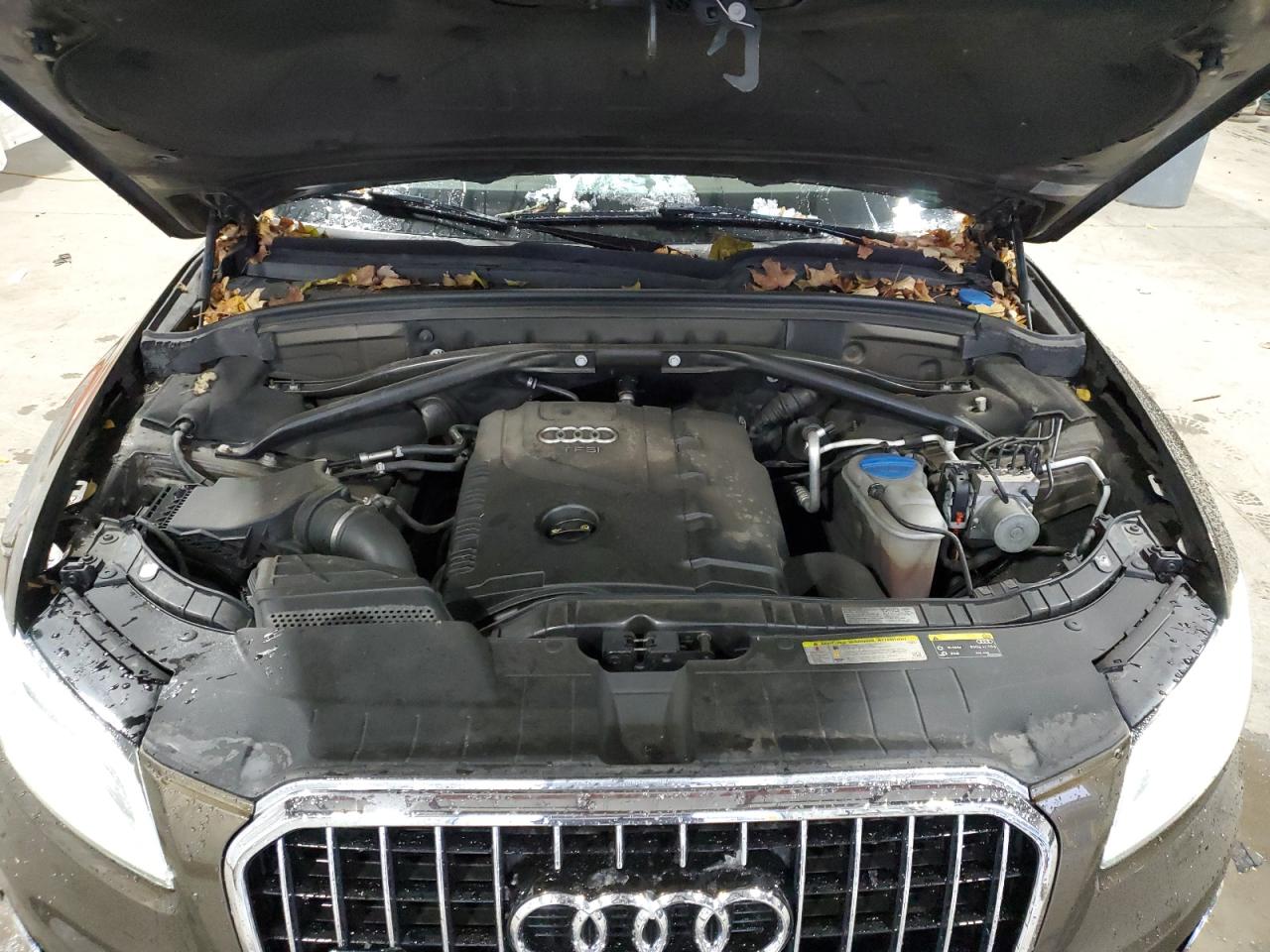 2014 Audi Q5 Premium Plus VIN: WA1LFAFP0EA049524 Lot: 92445965