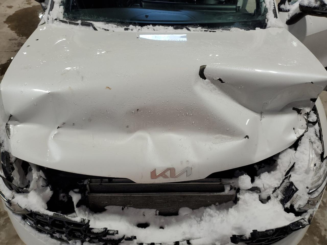 2023 Kia Sportage X Line Limited VIN: KNDPXCAF8P7067347 Lot: 92108435