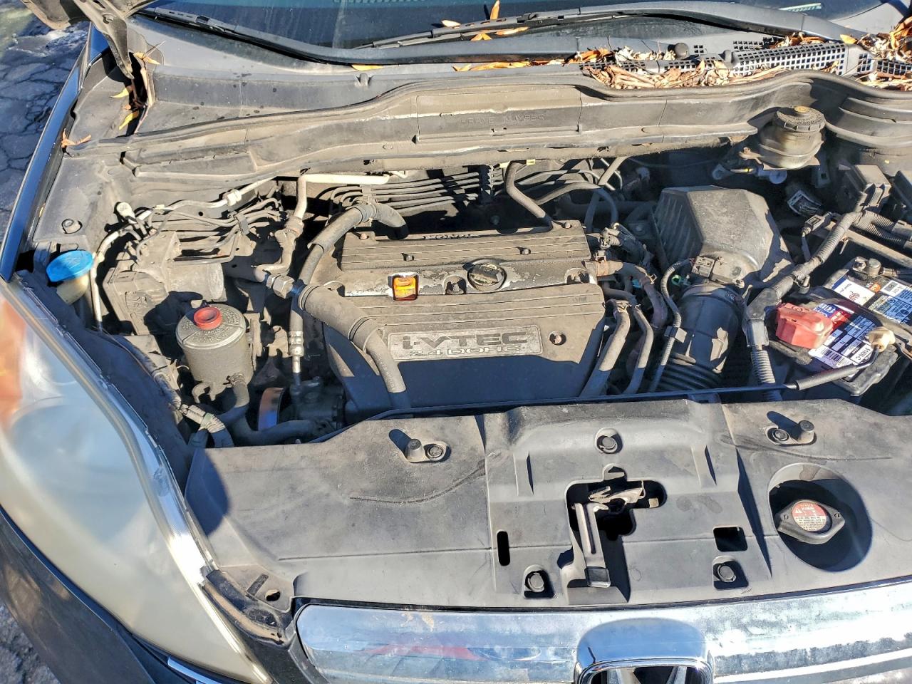 2007 Honda Cr-V Exl VIN: JHLRE487X7C020799 Lot: 93086965