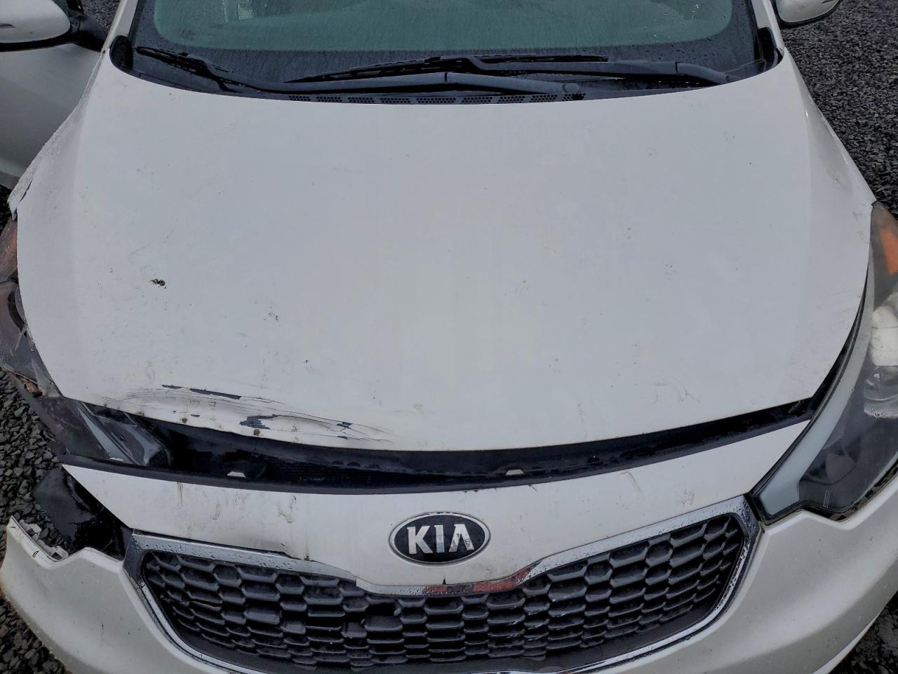 2015 Kia Forte Lx VIN: KNAFX4A64F5391436 Lot: 95709085