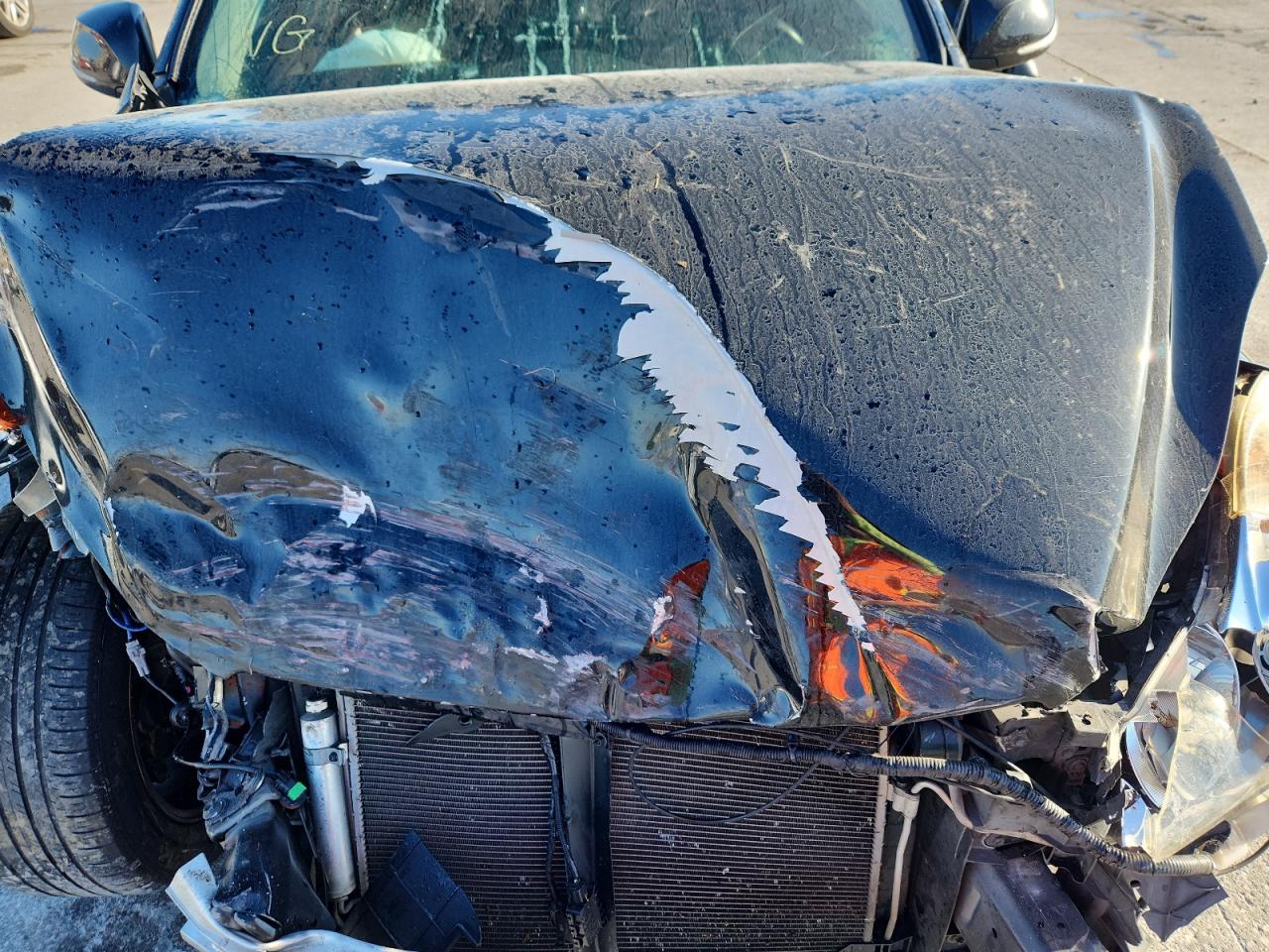 2017 Infiniti Qx50 VIN: JN1BJ0RP6HM387196 Lot: 91604655