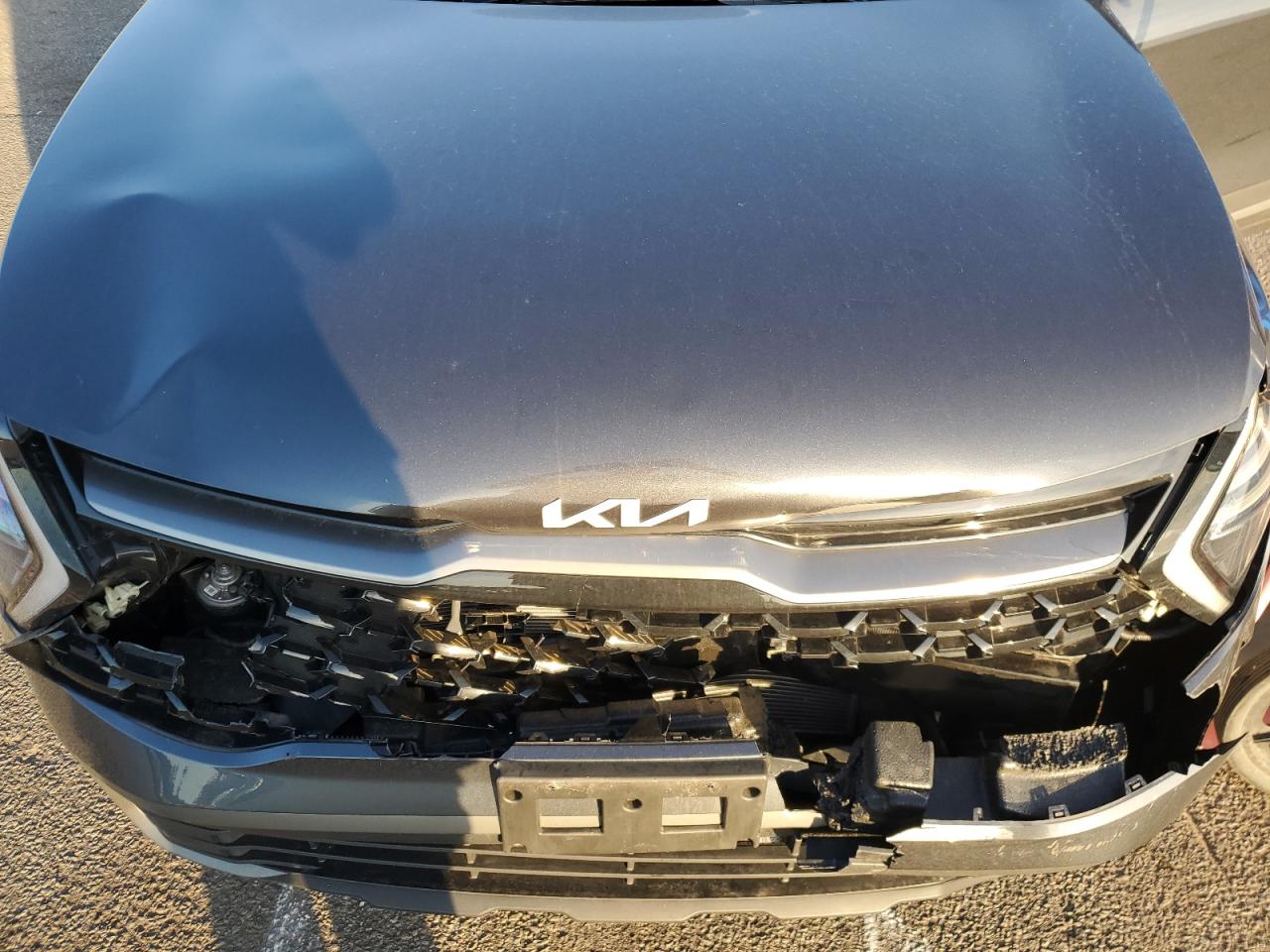 2024 Kia Sportage X Line VIN: 5XYK6CDF6RG209161 Lot: 93739105