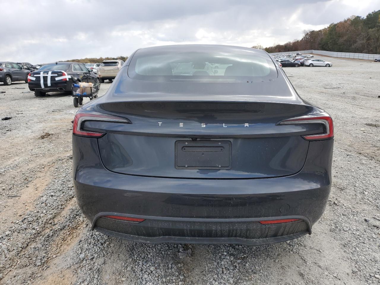 2025 Tesla Model 3 VIN: 5YJ3E1EA2SF923767 Lot: 91603305