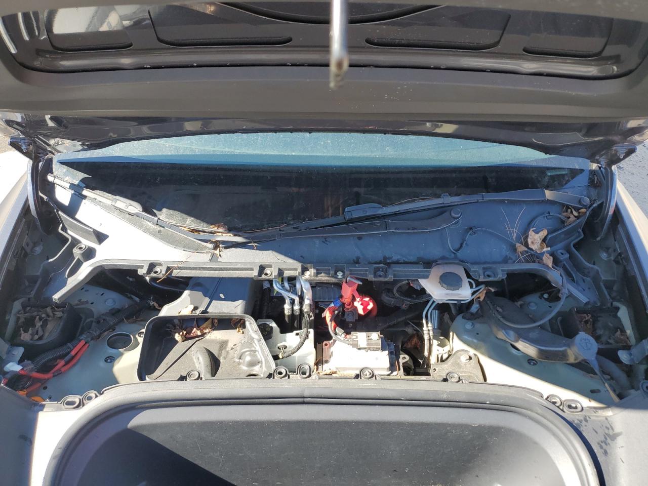 2022 Tesla Model Y VIN: 7SAYGAEE3NF516809 Lot: 91904825