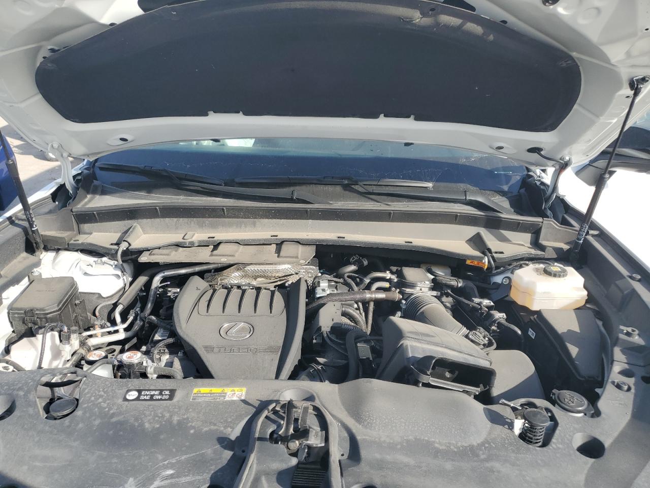 2024 Lexus Tx 500H F Sport Premium VIN: 5TDABAB68RS007066 Lot: 91241895