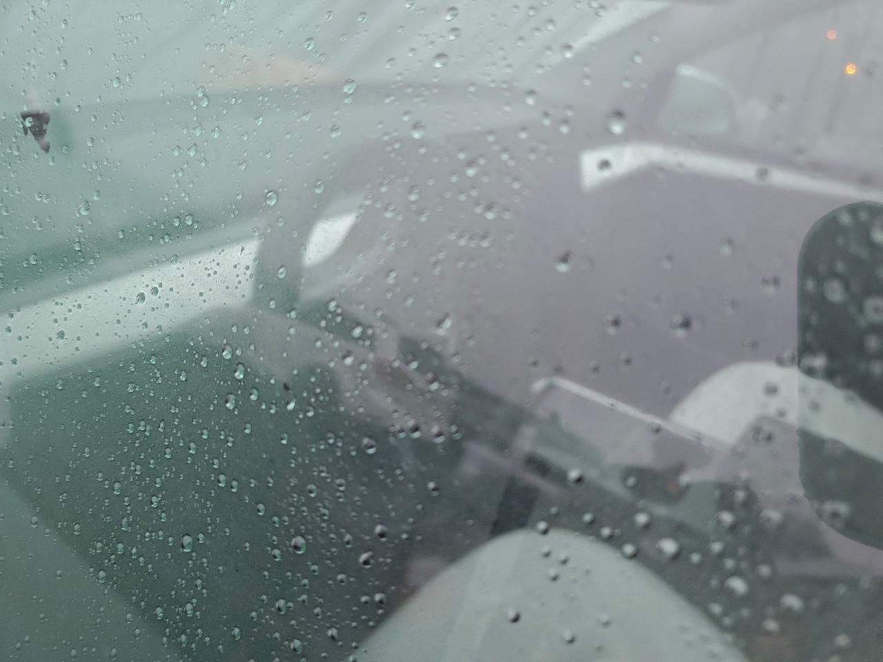 2023 Tesla Model Y VIN: 7SAYGDEE2PF609079 Lot: 93918845