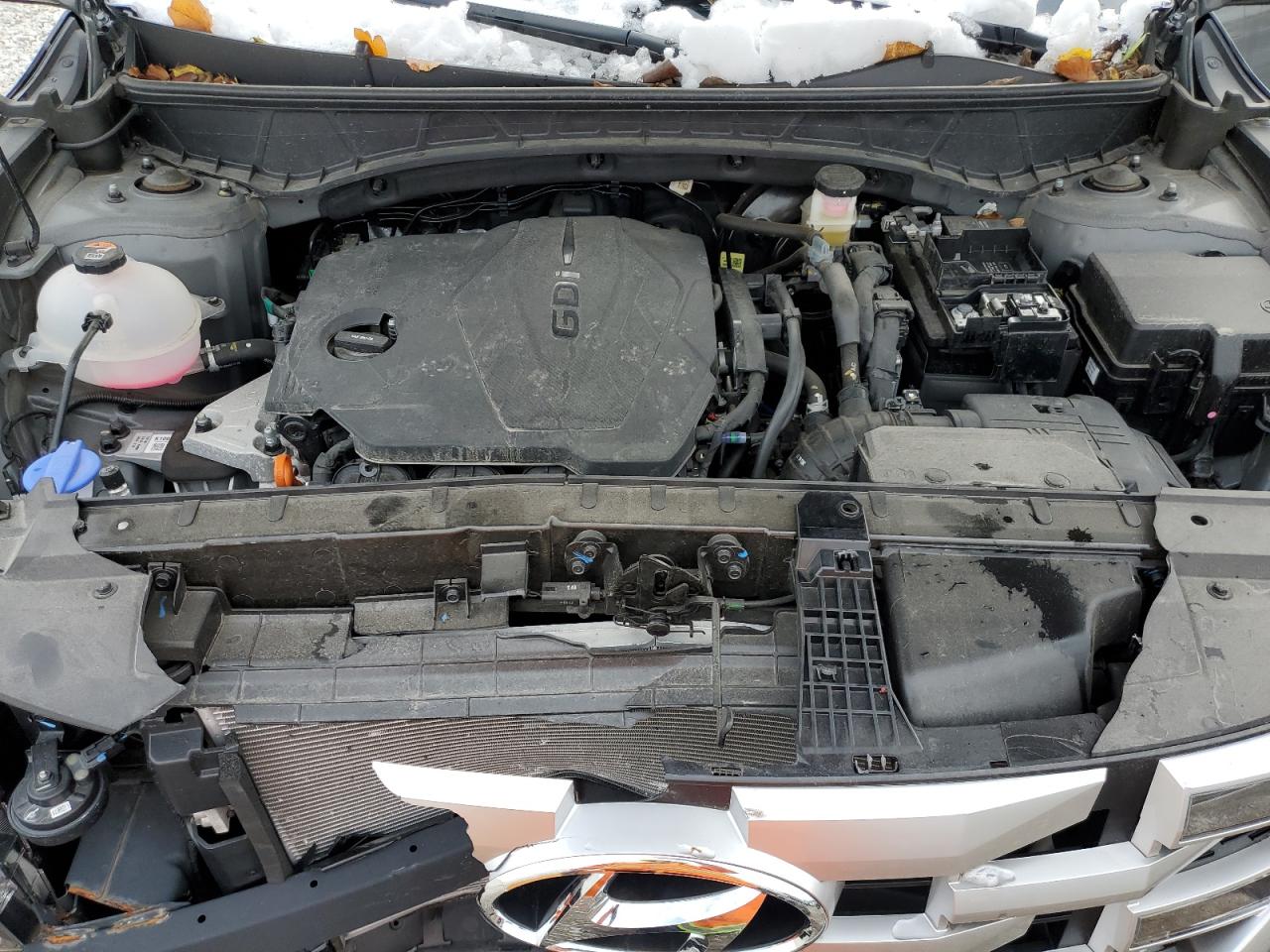 2024 Hyundai Santa Cruz Sel VIN: 5NTJCDAE6RH095503 Lot: 92259235