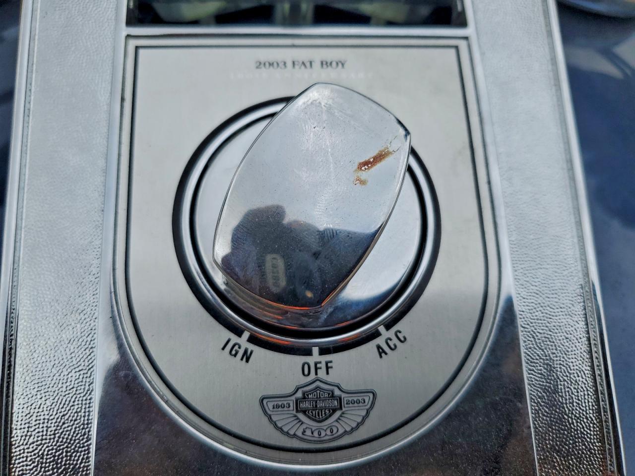 2003 Harley-Davidson Flstfi VIN: 1HD1BXB3X3Y041206 Lot: 94084595