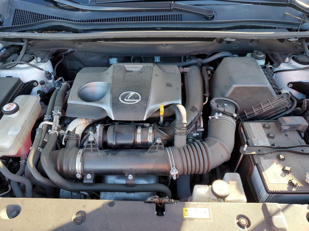 2021 Lexus Nx 300 Base VIN: JTJSARDZ6M5022030 Lot: 91354615