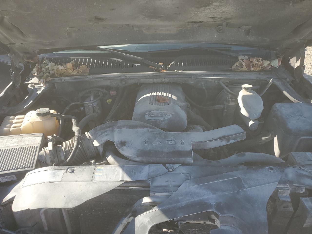 2003 Chevrolet Avalanche K1500 VIN: 3GNEK13T13G221237 Lot: 92226365