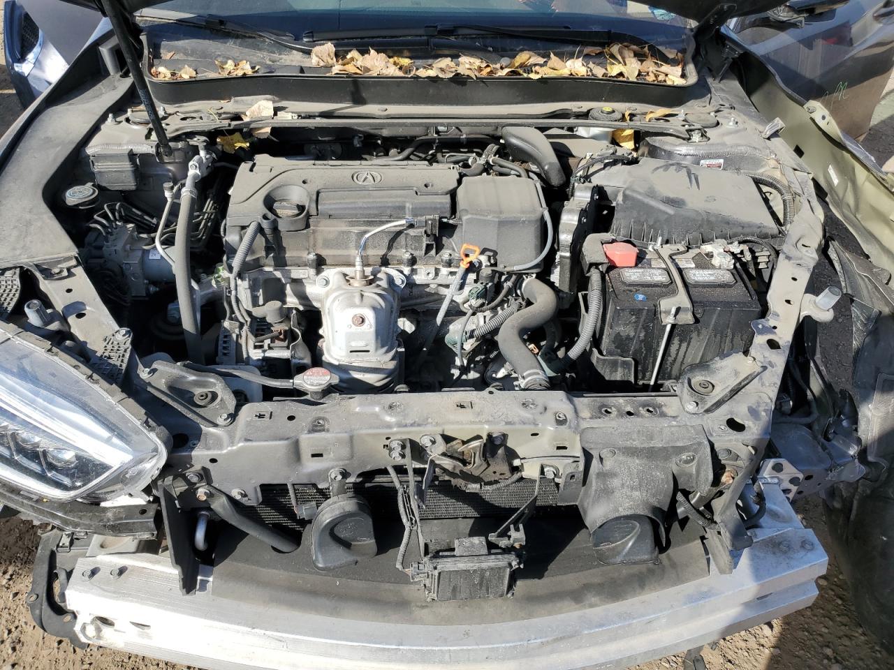 2019 Acura Tlx VIN: 19UUB1F38KA003441 Lot: 90666965