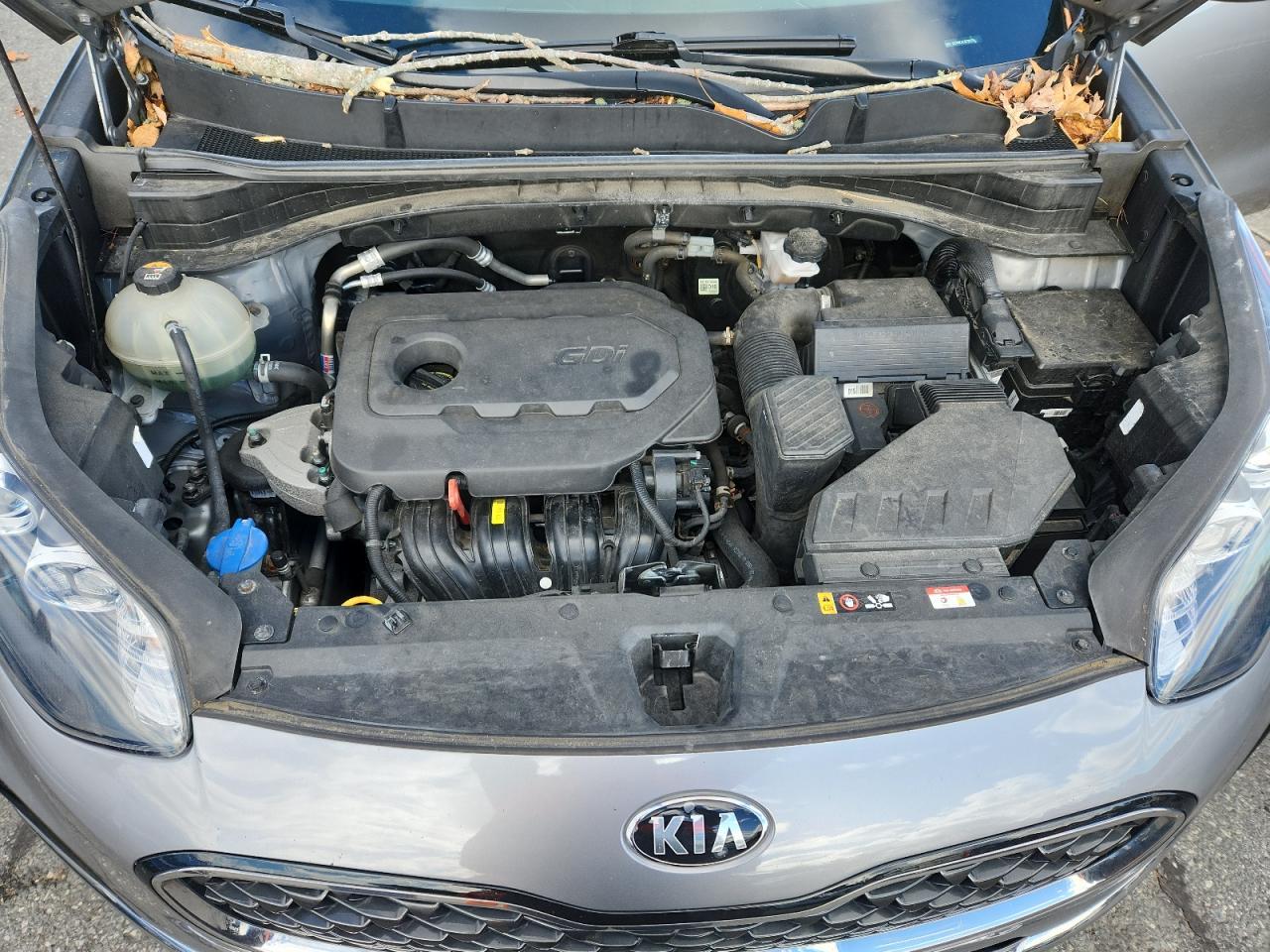 2020 Kia Sportage Ex VIN: KNDPNCAC3L7825195 Lot: 92848405