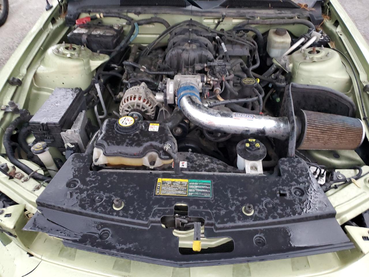 2006 Ford Mustang VIN: 1ZVFT80N065157838 Lot: 91553335