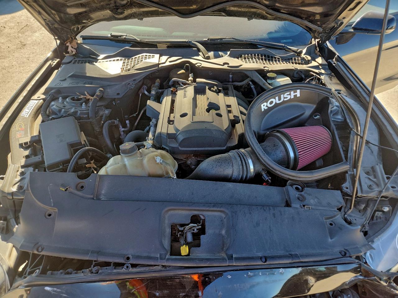 2017 Ford Mustang VIN: 1FA6P8TH5H5212404 Lot: 94519175