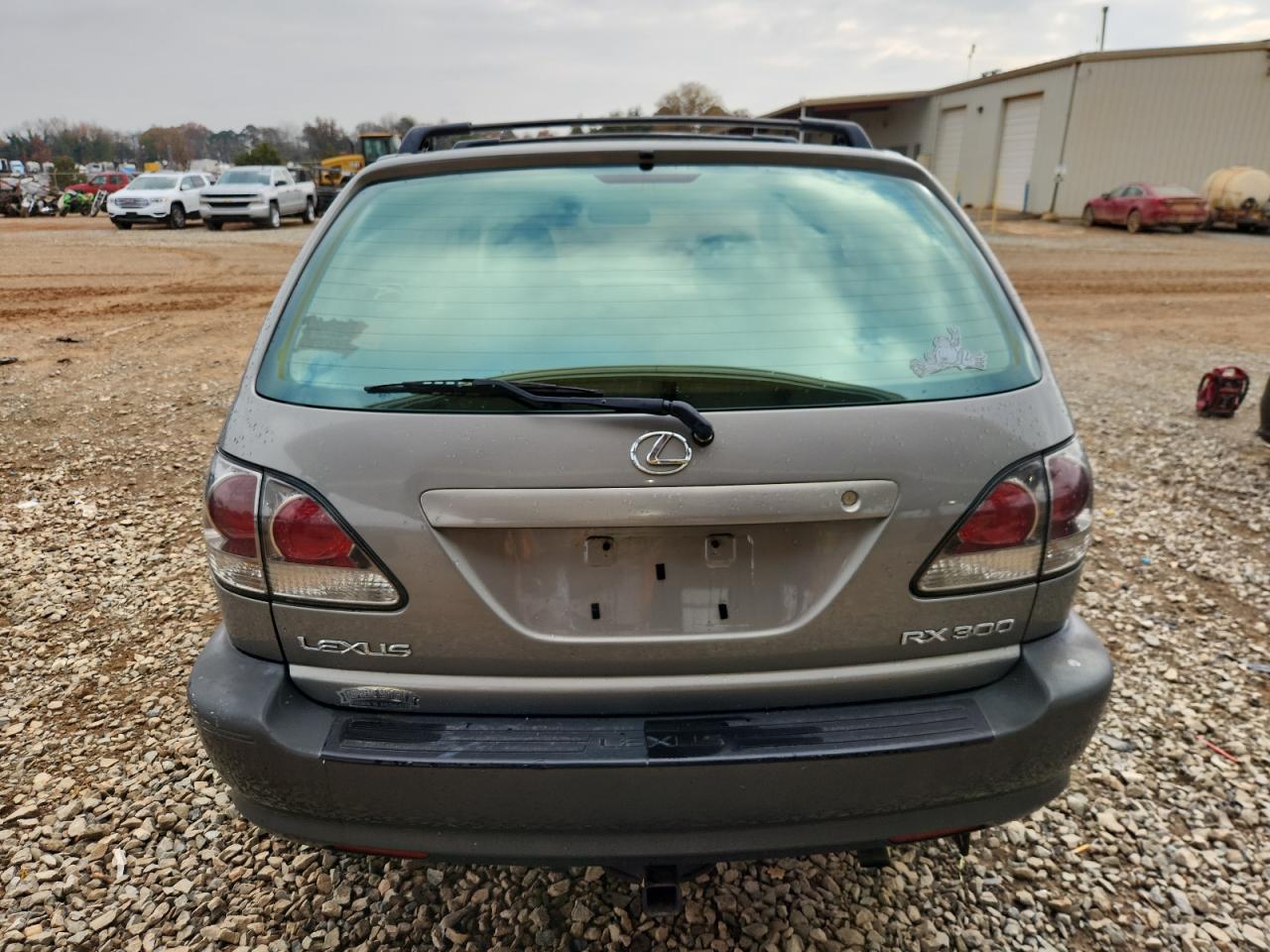 2002 Lexus Rx 300 VIN: JTJHF10U920246667 Lot: 92006275