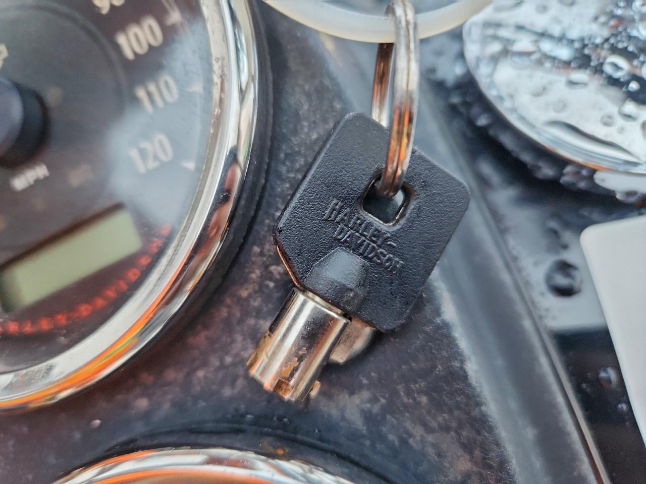 2014 Harley-Davidson Fxdl Dyna Low Rider VIN: 1HD1GNM29EC317112 Lot: 92834465