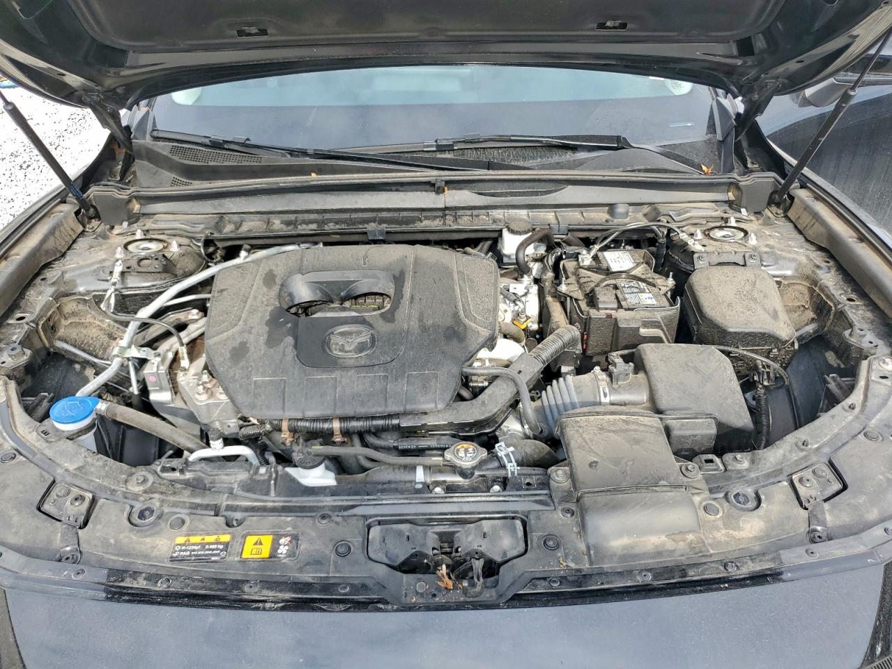 2025 Mazda Cx-50 Premium VIN: 7MMVABDM5SN322330 Lot: 93470865