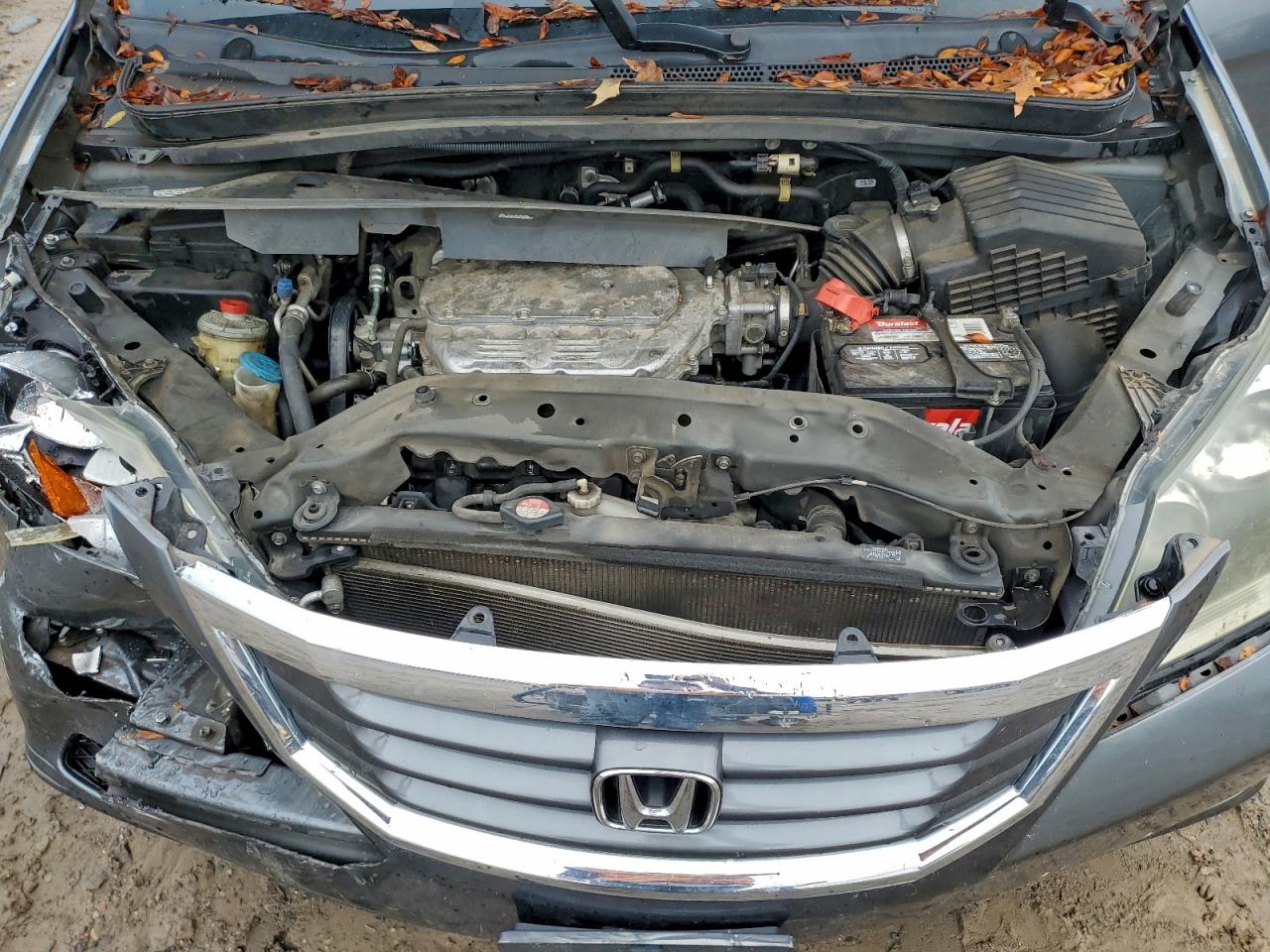 2010 Honda Odyssey Exl VIN: 5FNRL3H67AB081686 Lot: 94100565