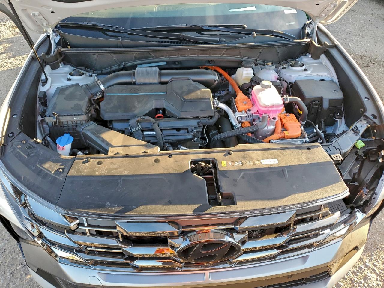 2025 Hyundai Tucson Limited VIN: KM8JEDD17SU285304 Lot: 94564755