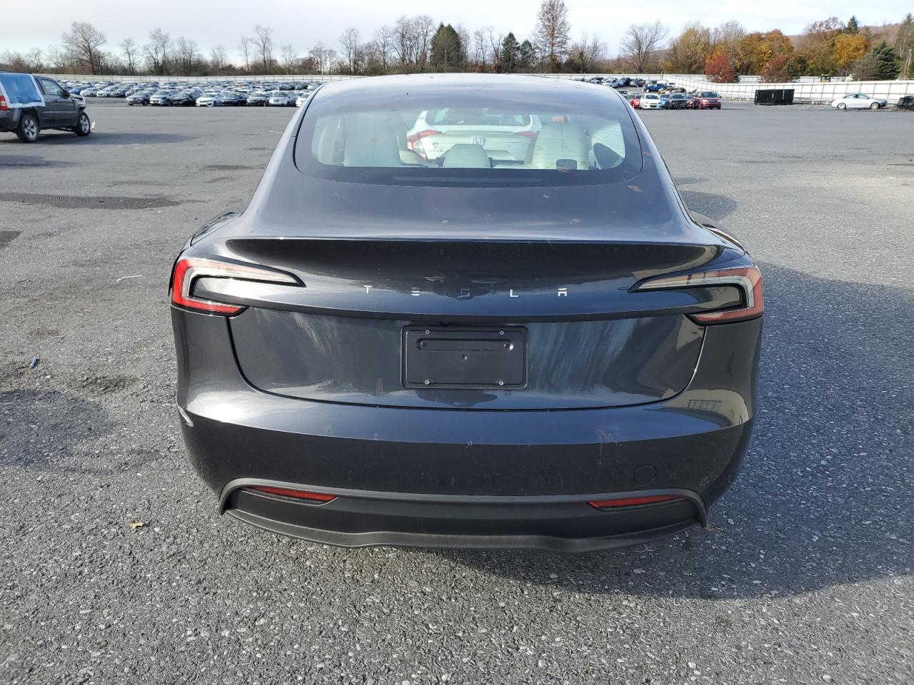 2025 Tesla Model 3 VIN: 5YJ3E1EA9SF024579 Lot: 91490145