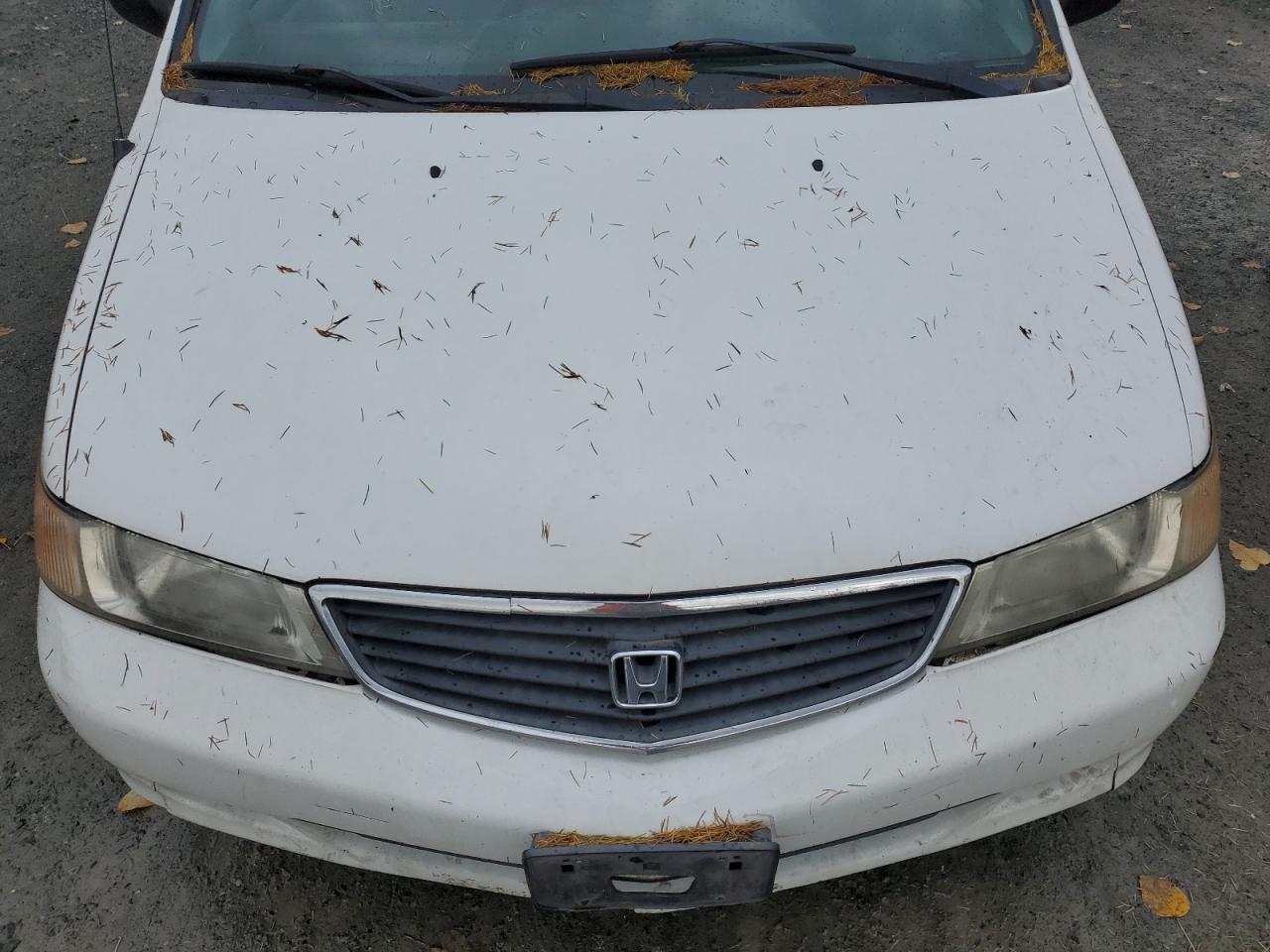 2000 Honda Odyssey Lx VIN: 2HKRL1850YH560166 Lot: 91432675