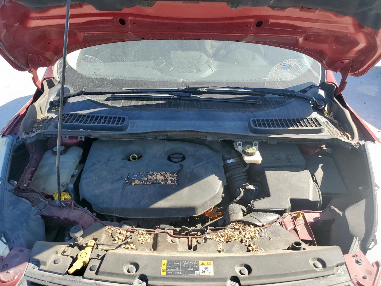 2013 Ford Escape Se VIN: 1FMCU0G91DUC23440 Lot: 92228905