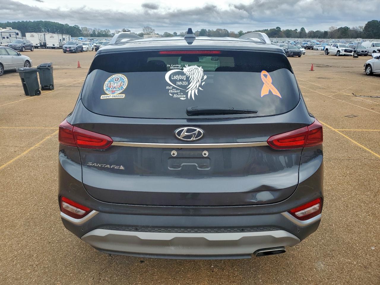 2020 Hyundai Santa Fe Sel VIN: 5NMS33AD3LH233443 Lot: 93215945