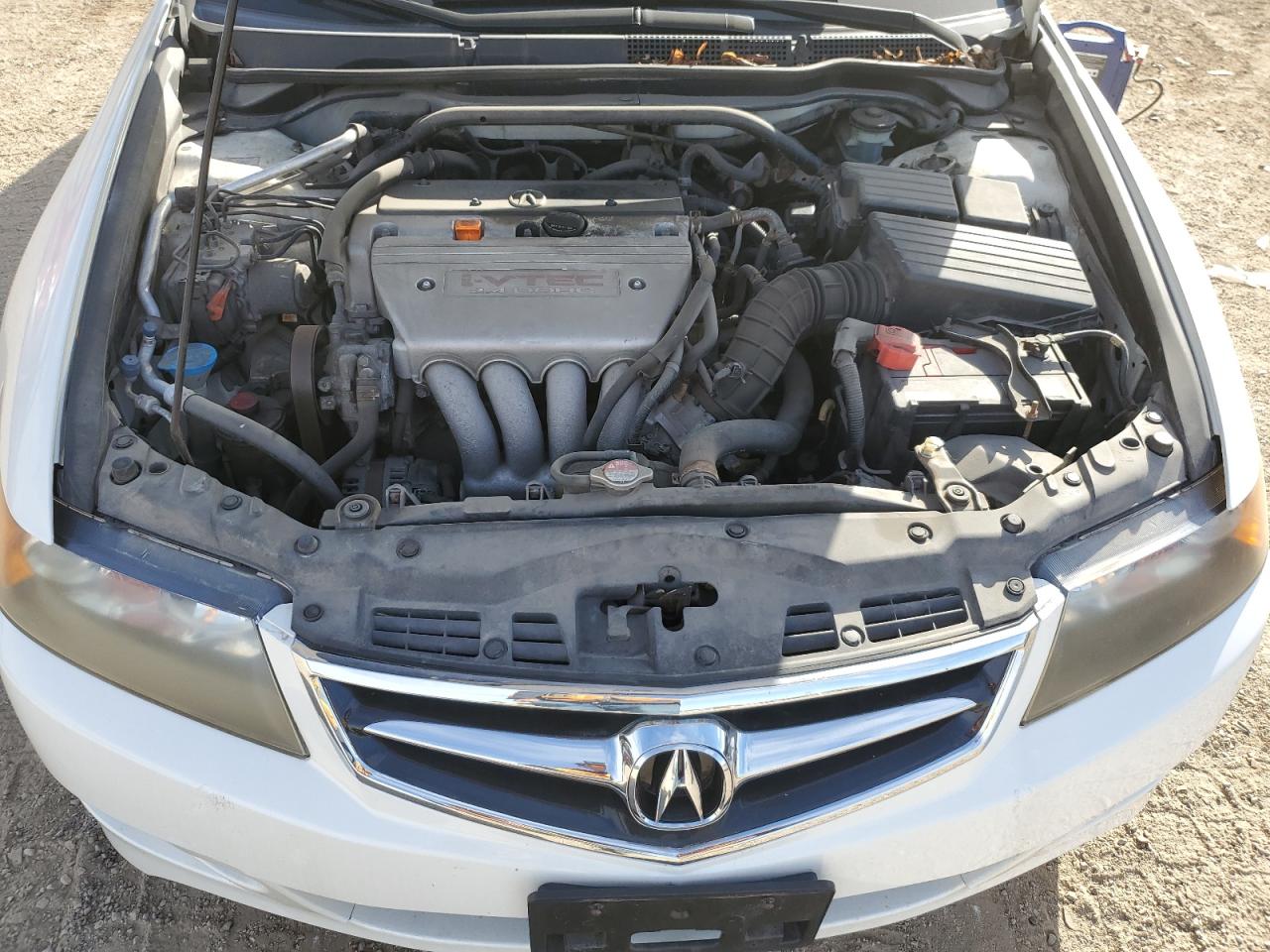 2006 Acura Tsx VIN: JH4CL969X6C036489 Lot: 86630525