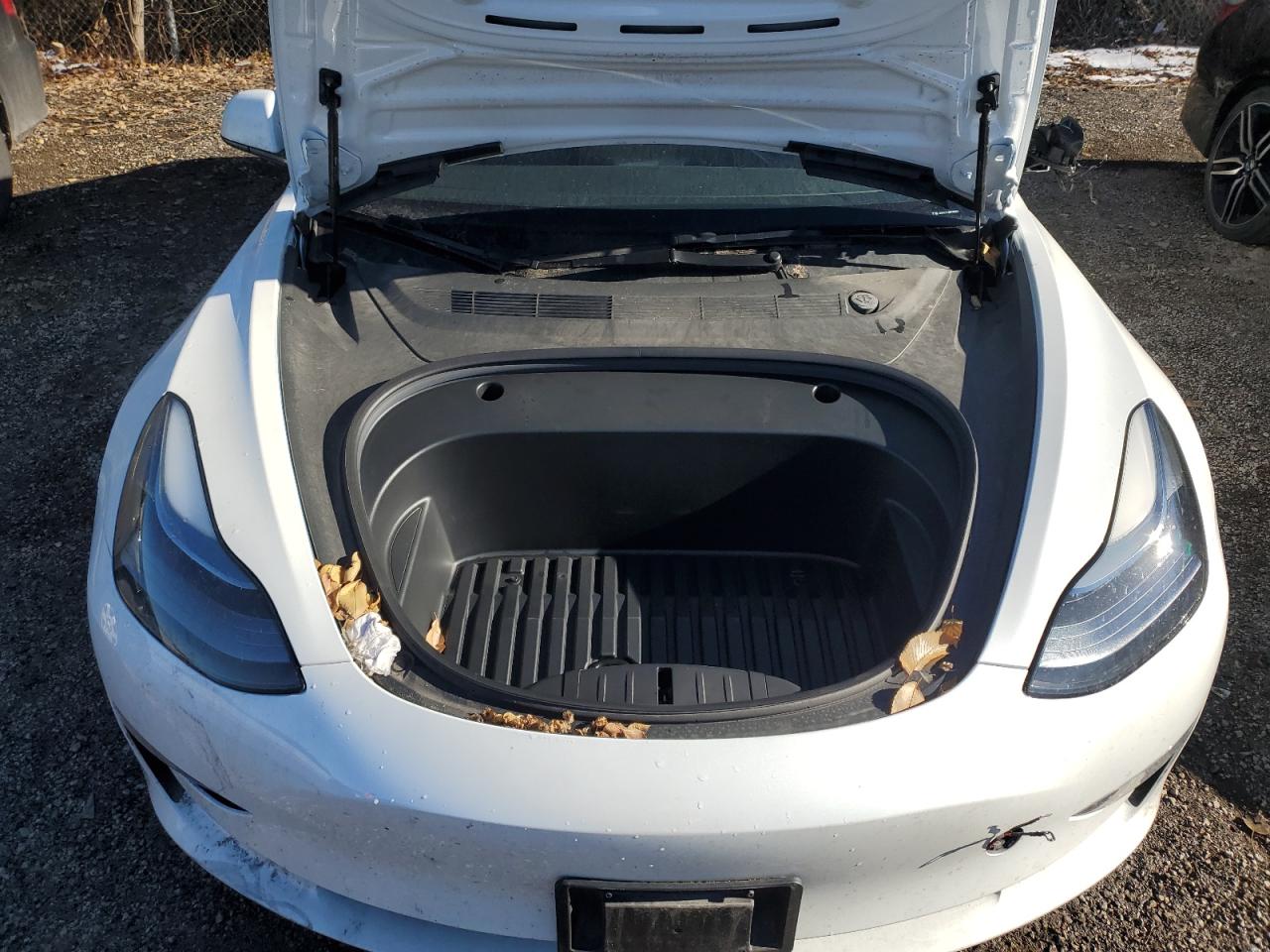 2023 Tesla Model 3 VIN: LRW3E1FA0PC921516 Lot: 92906455