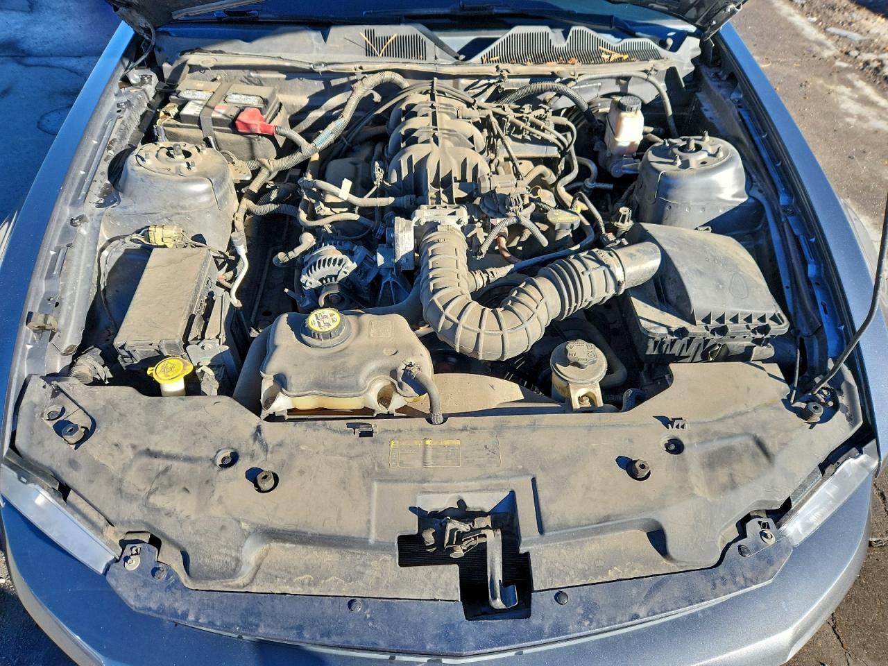 2010 Ford Mustang VIN: 1ZVBP8AN5A5115417 Lot: 90914305