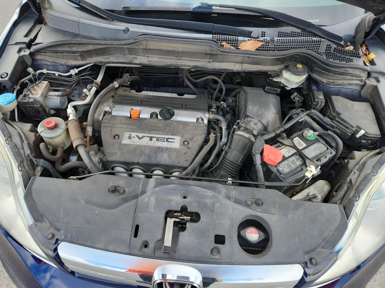 2008 Honda Cr-V Exl VIN: 5J6RE487X8L035019 Lot: 91388615