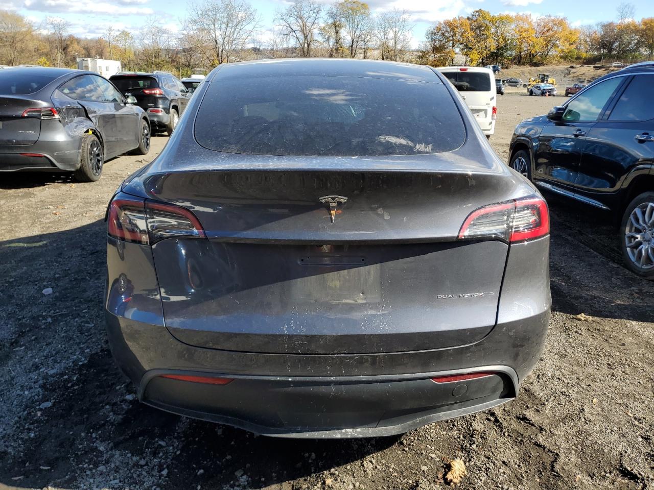 2023 Tesla Model Y VIN: 7SAYGDEE2PF742991 Lot: 91059545