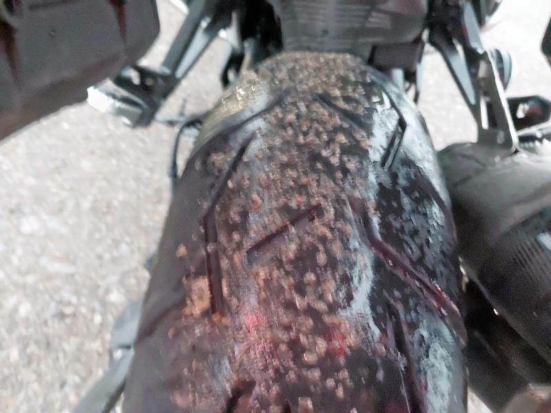 2024 BMW R 1300 GS TE 