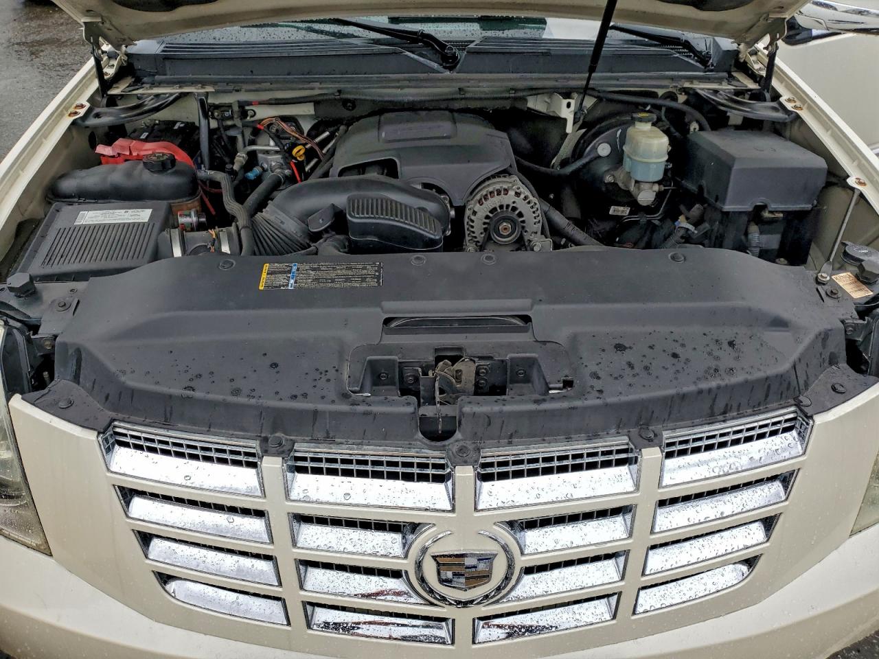 2007 Cadillac Escalade Luxury VIN: 1GYEC63827R422224 Lot: 93656295