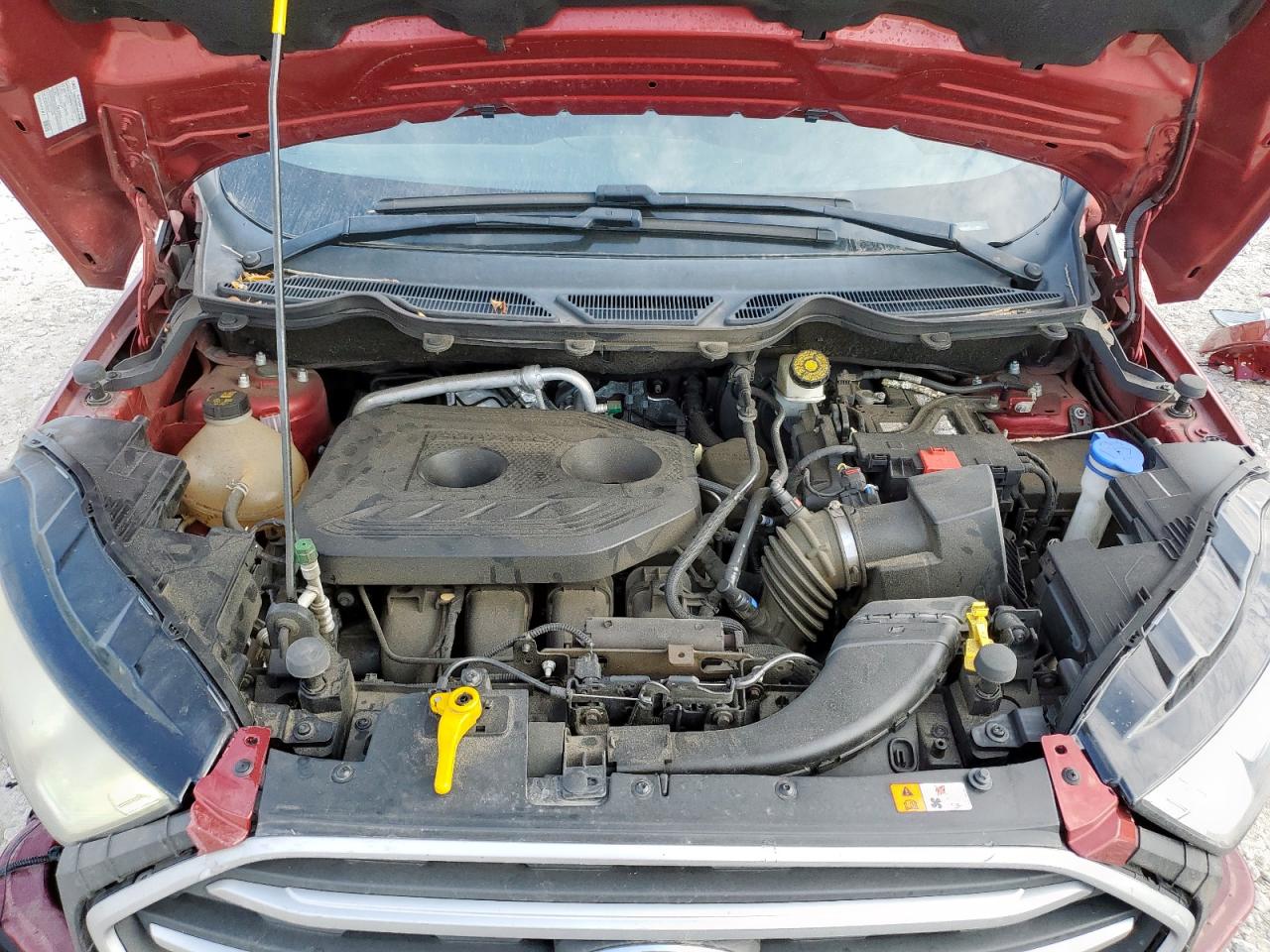 2019 Ford Ecosport Se VIN: MAJ6S3GL4KC282768 Lot: 92895095