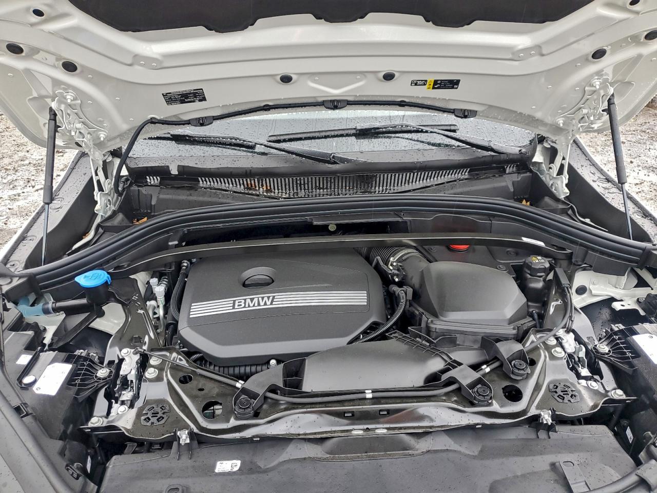 Фото: WBX63GM06T5466160