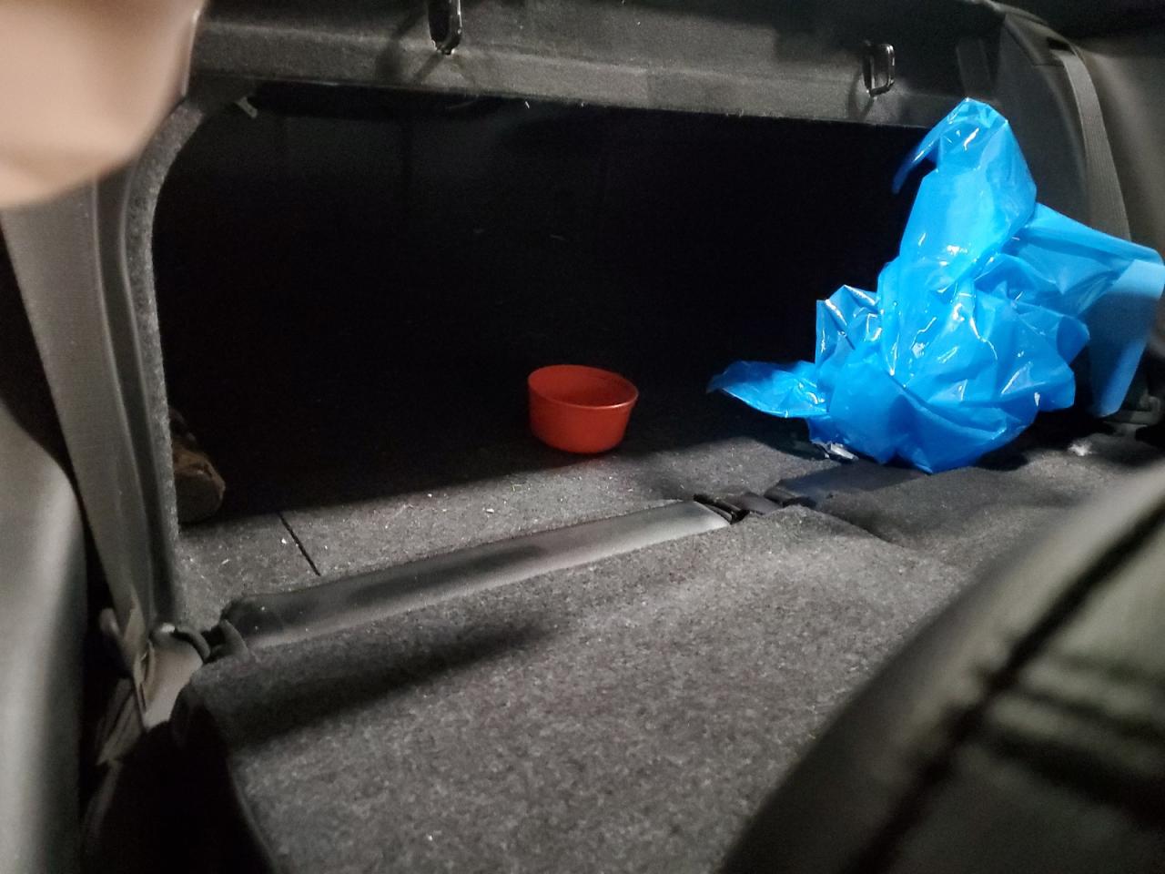 2017 Ford Mustang Gt VIN: 1FA6P8CF7H5207719 Lot: 92585625