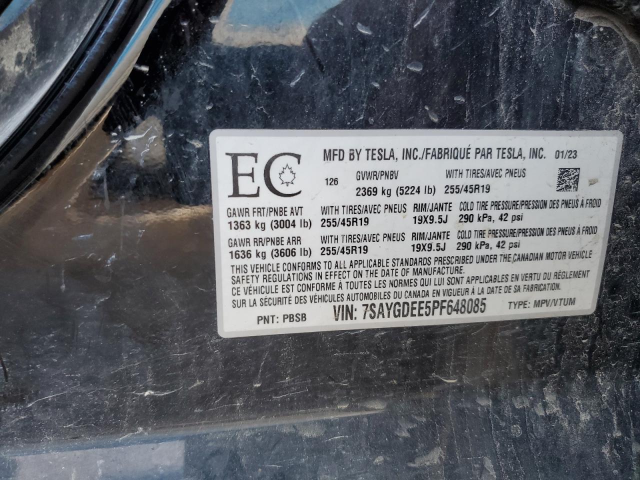 2023 Tesla Model Y VIN: 7SAYGDEE5PF648085 Lot: 90656565