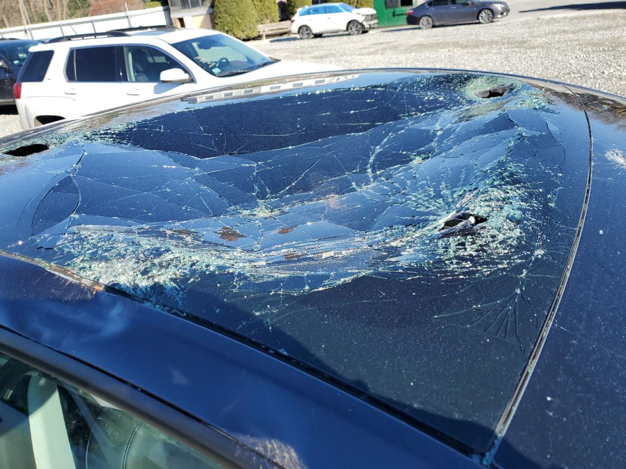 2024 Tesla Model Y VIN: 7SAYGDEE3RA326805 Lot: 91969575