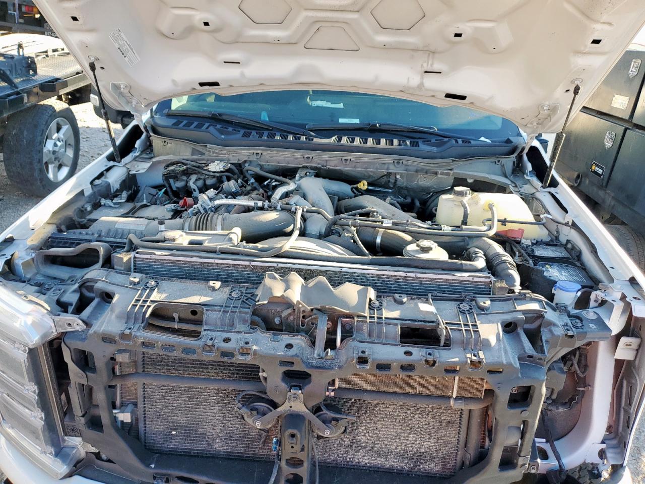 2024 Ford F350 Super Duty VIN: 1FT8W3BT8REE20504 Lot: 66466065