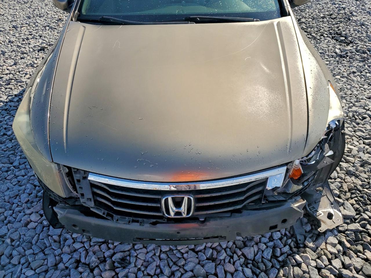 2010 Honda Accord Lx VIN: 1HGCP2F33AA109247 Lot: 94261855
