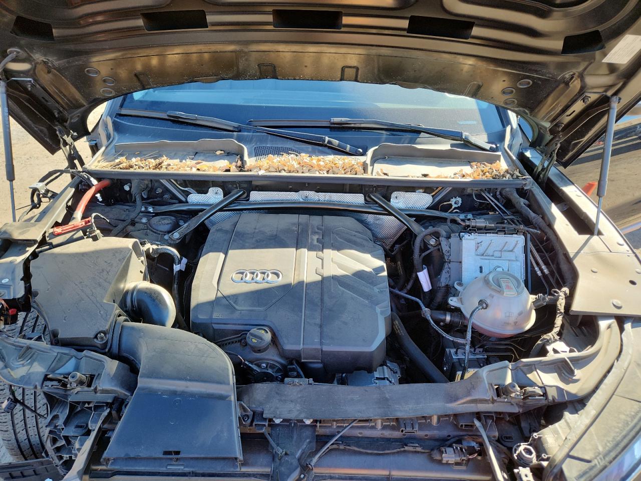 2023 Audi Q5 Premium 45 VIN: WA1GAAFY7P2194873 Lot: 91266665