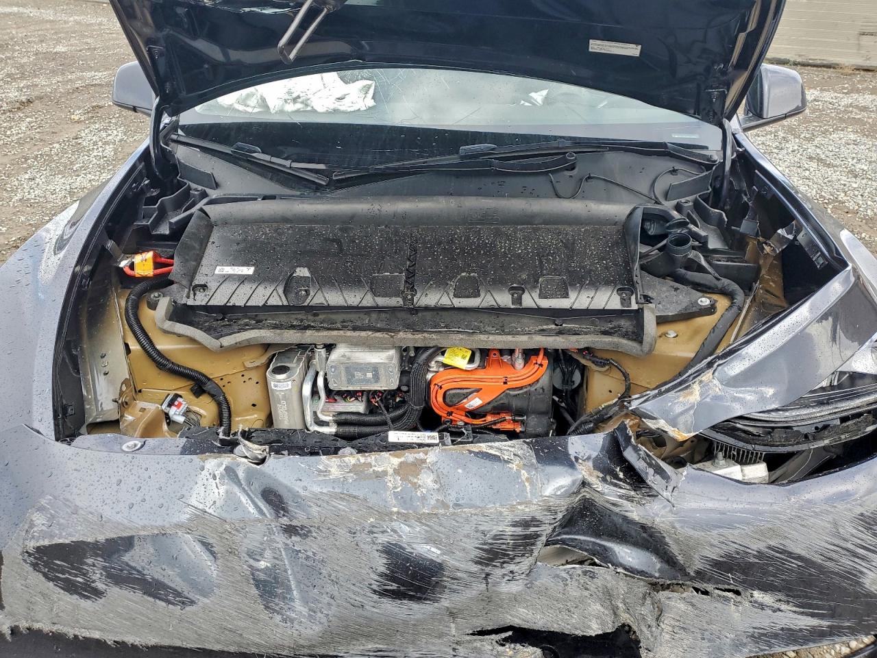 2025 Tesla Model Y VIN: 7SAYGDED8SF312589 Lot: 93557315