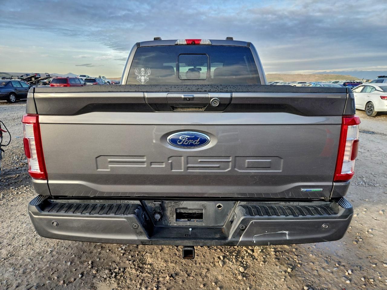 2021 Ford F150 Supercrew VIN: 1FTFW1E87MKD71096 Lot: 94343625