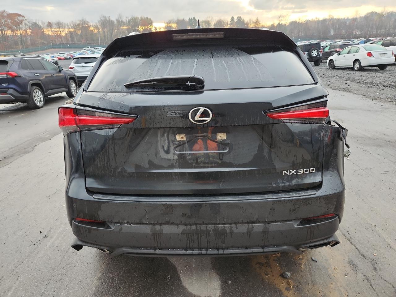 2020 Lexus Nx 300 VIN: JTJGARDZ3L5005156 Lot: 91799915